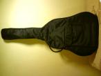Daiktas Akustinė gitara