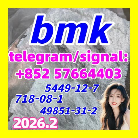 Daiktas Bmk powder oil liquid Cas 5449-12-7 at Best Price