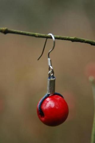 Daiktas uogytes auskarai