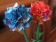 popierinės gėlytės Šiauliai - parduoda, keičia (1)