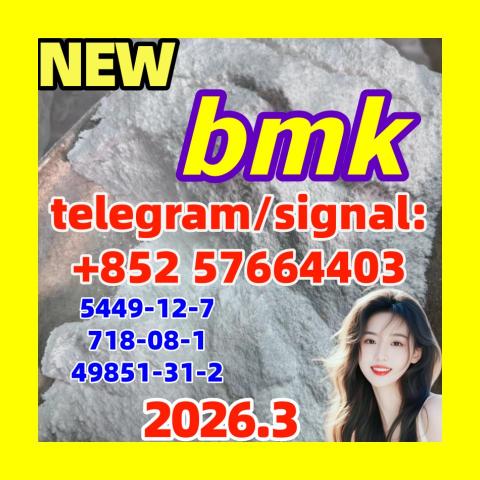 Daiktas  5449-12-7 BMK Glycidic acid-bmk powder-factory supply 