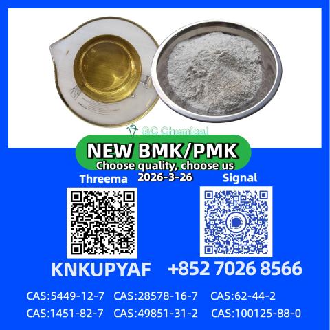 Daiktas High purity pm.k cas 28578-16-7| reliable supplier & fast delivery 