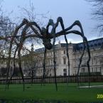 Vartotojas Vabaliukas