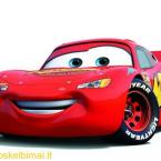 Vartotojas Olima6000