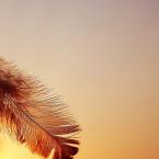 Vartotojas pasala.009