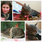 Vartotojas Citrinuke123