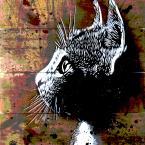 Vartotojas still1987