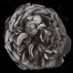 Vartotojas aistestan