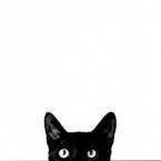 Vartotojas Rytinis_Miau