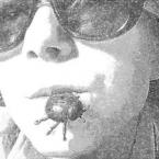 Vartotojas musėloja