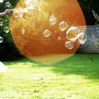 Vartotojas zydinti_pieva