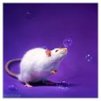 Vartotojas Paulina10