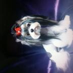 Vartotojas Kamile0404