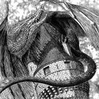 Vartotojas DarkDragon