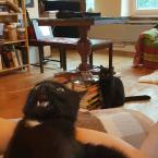 Vartotojas GabrieleBas