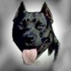 Vartotojas romas1985