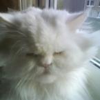 Vartotojas viktorija1