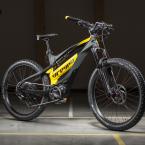 Vartotojas kalajopeda