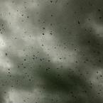 Vartotojas Angeldust