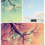 Vartotojas Guminukė