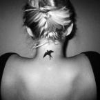 Vartotojas laurute5565