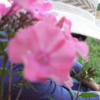 Vartotojas apsaugok_viespatie