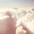 Vartotojas marshmallow_