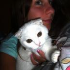 Vartotojas princess_