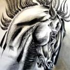 Vartotojas Stony-faced