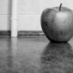 Vartotojas Floweringcherry