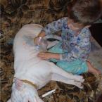 Vartotojas BesiuBesiu