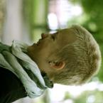 Vartotojas yellowjacket