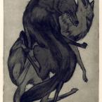 Vartotojas AšTaiJis