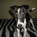 Vartotojas karolius20