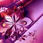 Vartotojas vikutea0403