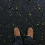 Vartotojas Filmmaker