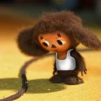 Vartotojas entropijairkoreliacija