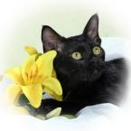 Vartotojas paslaptis133