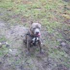 Vartotojas mazuciuke