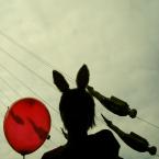 Vartotojas ruko_pieva