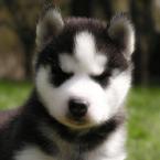 Vartotojas Sunny0310