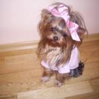 Vartotojas blizgute87