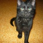 Vartotojas lauryte2932