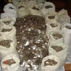 Vartotojas deiviskns