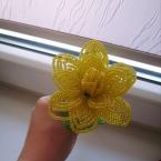 Vartotojas juodaraudona