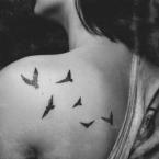 Vartotojas puukuotis