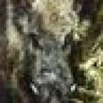 Vartotojas munas1977