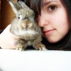 Vartotojas Nijolaina