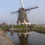 Vartotojas salvadordali