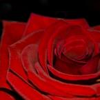 Vartotojas dejmancjukas123